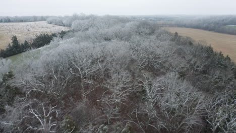 Aerial-dolly-over-frozen-iced-trees-in-rural-farmland