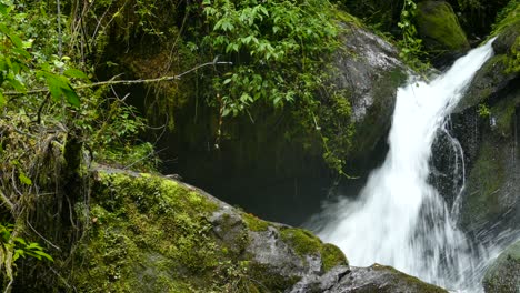 Small-birds-flying-in-front-of-a-fast-flowing-waterfall-in-tropical-forest