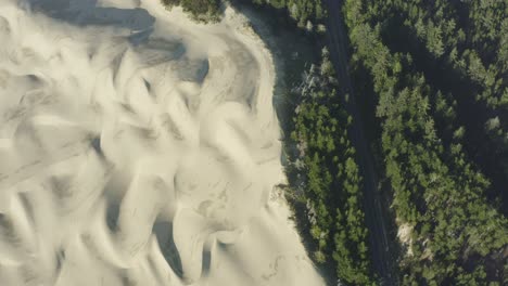 Aerial-looking-downwards-at-dense-evergreen-forest-and-road-surrounded-by-trees,-with-sand-dunes-on-the-left