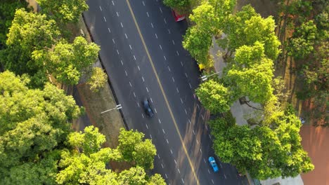 Aerial-top-down-orbital-of-a-busy-avenue-with-cars-passing-by-surrounded-by-trees