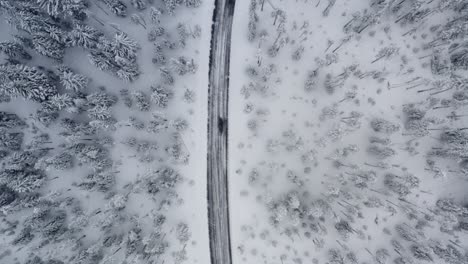 Slowly-descending-aerial-toward-a-snowy-road-surrounded-by-snowy-trees