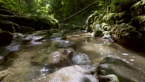 Beautiful-rural-nature-shot-of-flowing-creek-in-rainforest-during-sunny-day