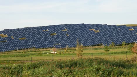 Static-shot-of-solar-panel-farm-situated-on-hill-side-while-sun-rays-appears-and-disappears