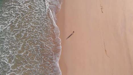 Lonely-person-walks-alone-on-golden-beach-at-Porto-Santo-island,-Portugal