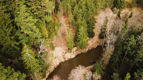Aerial-birdseye-view-of-Riva-river-valley-in-sunny-spring-day,-thick-forest-of-tall-evergreen-trees,-untouched-remote-location,-wide-angle-panorama-drone-shot-moving-right
