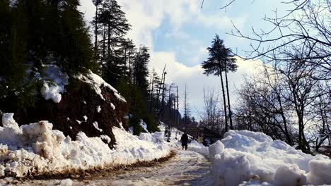 Schneewittchen-In-Kaschmir-Bedeckte-Hügel-Berge-Pflanzen-Tal