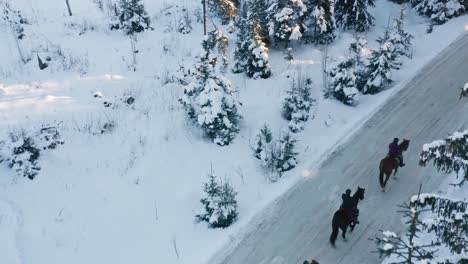 Aerial-view-over-people-riding-horses-along-path-in-winter-forest