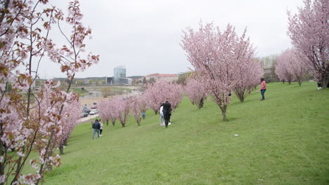 Panorama-of-Vilnius-From-Sakura-Park-on-a-Gloomy-Day-with-River-Neris-in-Background
