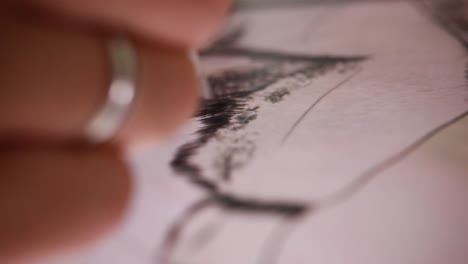 Detail-of-drawing-making-of-an-animal-on-ipad-by-artist