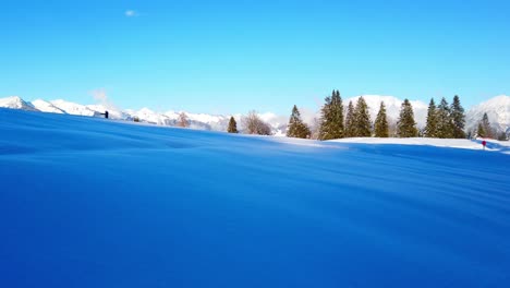 Malerisches-Schneefeld-Mit-Alpen-Und-Pinien-Bei-Tageslicht