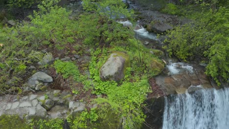 Mt-Daisen-Forest-Walk,-Brick-Weir-and-Stream,-Tottori-Japan