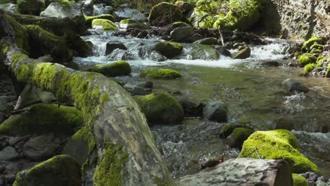 Verdant-mossy-forest-stream-at-Mt-Daisen,-Tottori-Japan