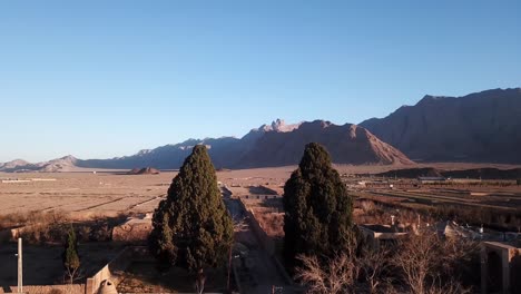 Twin-Holy-Cypresses-Trees-in-a-Little-Village-in-Iran-Taft-Yazd-Zoroastrian-People-Settlement-Mobarakeh-Close-to-the-Road-and-Mountains-in-Background-in-Sunset-Time-in-Afternoon-in-Desert-Area
