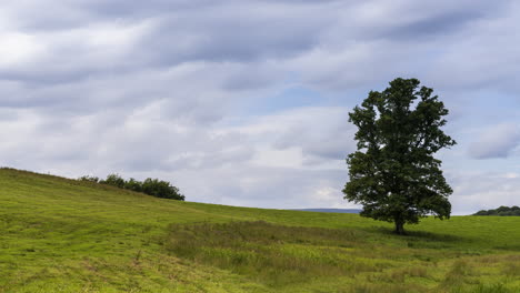 Zeitraffer-Eines-Einzelnen-Einsamen-Baumes-In-Der-Ländlichen-Grünen-Feldlandschaft-Irlands-Während-Des-Tages-Mit-Vorbeiziehenden-Wolken