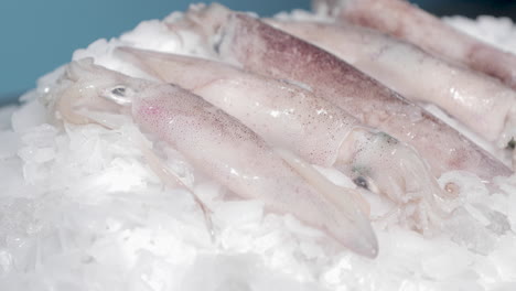 Close-up-Of-Raw-Sea-Cuttlefish-For-Sale-At-Seafood-Market---slow-motion,-sideways