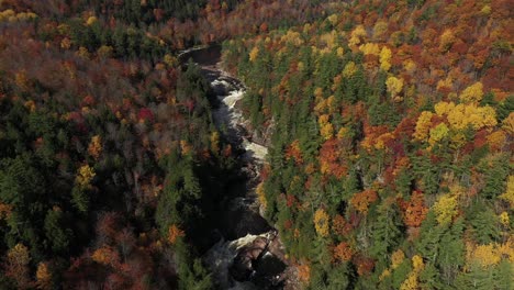 Stromschnellen,-Die-Durch-Herbstlich-Gefärbte-Wälder-Laufen,-Rotierende-Hochansicht