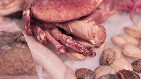 Legs-Of-The-Crab-Moves-On-Top-Of-The-Ice-With-Clams-And-Squid-On-The-Background