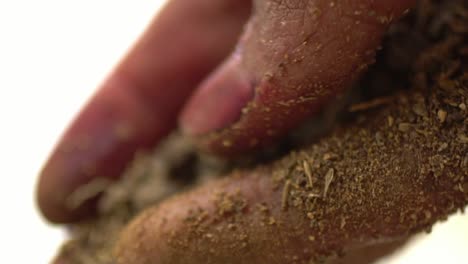 Macro-Shot-Of-Hands-During-The-Process-Of-Making-Madder-Powder-From-Plant-Roots