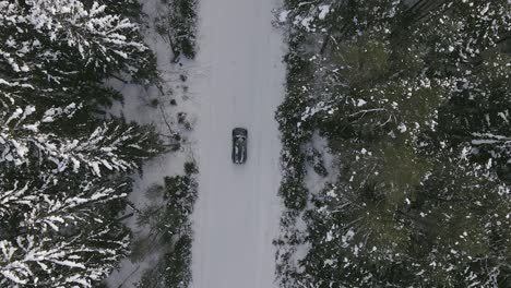 Car-driving-through-forest-in-winter