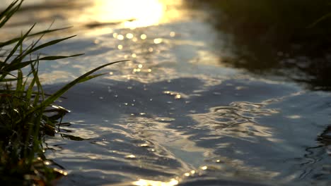 Closeup-footage-of-the-reflections-of-sunset-light-on-lake-surface