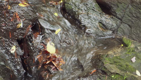 Close-up-of-a-water-stream-in-a-town-river