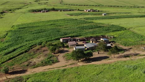 Retreating-aerial-tilt-reveals-rural-African-farmhouse-in-vivid-green