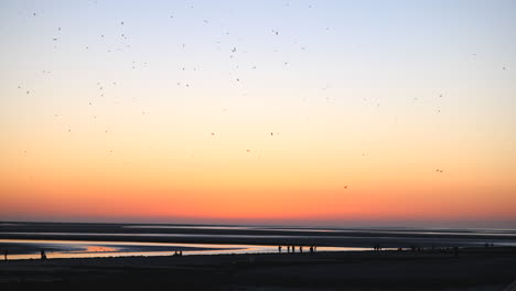 Filmaufnahmen-Einer-Strandlandschaft-Bei-Sonnenuntergang