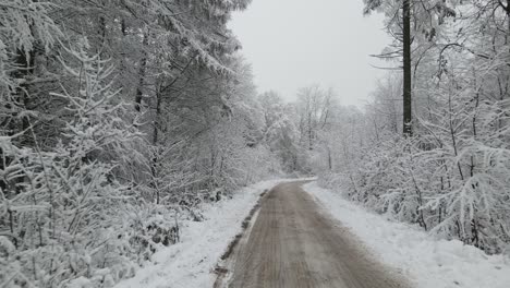 Geräumter-Schneeweg-Mitten-Im-Nirgendwo,-Elblag-Polen-Wälder