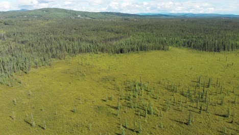 4K-Drohnenvideo-Eines-Sommerlichen-Wildniswaldes-In-Der-Nähe-Von-Fairbanks,-Alaska