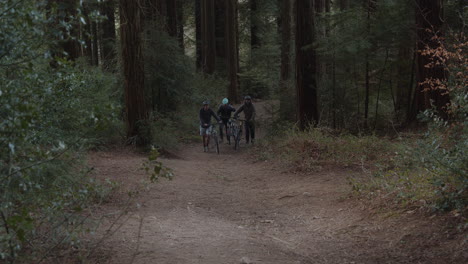 Bikers-Pushing-Mountain-Bikes-On-Uphill-Track-Through-Forest-With-Pine-Trees,-wide-shot