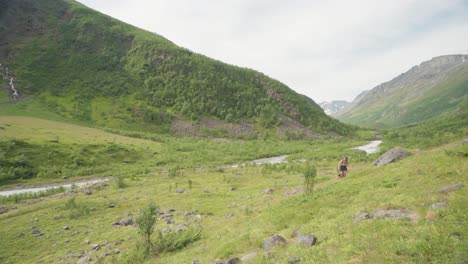 Viajero-Con-Su-Perro-En-La-Caminata-Por-La-Montaña-Lyngsdalen-En-Verano-En-Noruega