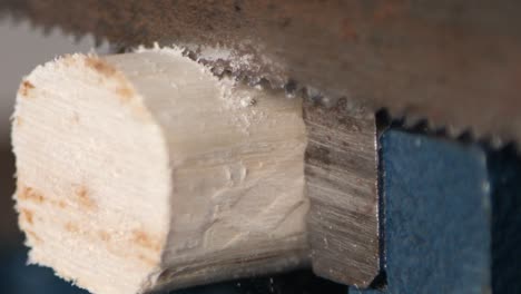 Extreme-close-up-sawing-a-piece-of-a-stick-with-a-rusty-saw-in-slow-motion