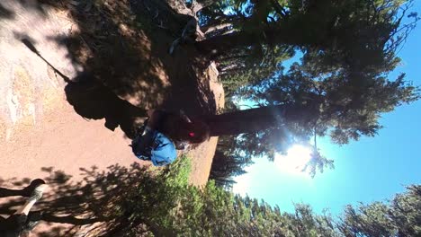 Vertical-shot-of-a-hiker-walking-through-a-forest-of-trees-at-Crater-Lake-National-Park