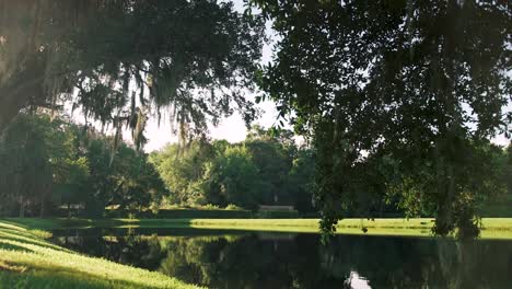 Morning-on-the-lower-pond-with-Live-Oaks-and-Spanish-moss-at-Middleton-Place-in-Charleston,-South-Carolina