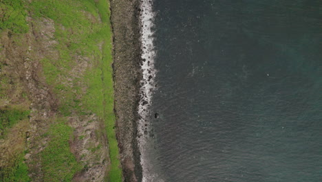 Seabirds-soar-above-green-cliffs-of-Grimsey-Island