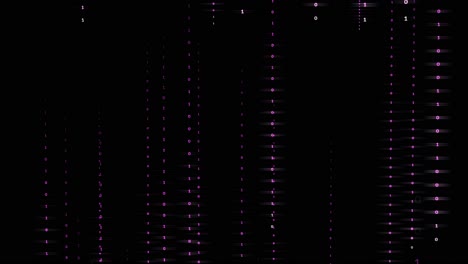 Purple-color-lines-of-0-and-1-falling-down-like-in-Matrix