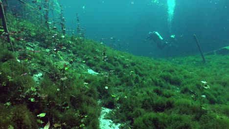 Taucher-Schwimmen-über-Unterwasserpflanzen-Im-Cenote-Höhlensystem-Yucatan,-Mexiko