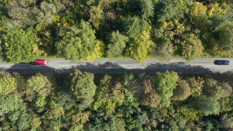 Aerial-slow-zoom-out-shot-of-a-autumnal-landscape-of-a-forest-with-driving-cars-passing-by-the-centered-street,-concept-for-traveling-in-the-fall-season
