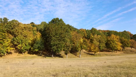 Zeitraffer-Der-Herbstlandschaft-Mit-Gelben-Und-Grünen-Bäumen