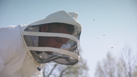 BEEKEEPING---Beekeeper-removes-a-frame-for-inspection,-slow-motion-medium-shot