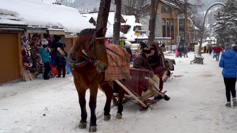 Berühmte-Polnische-Pferdekutschen-Im-Winterskiort-Zakopane