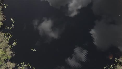 Vertikale-Luftaufnahme-Von-Wolken,-Die-Sich-Im-Schwarzwasser-Bayou-In-Florida-Spiegeln