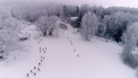 Cross-country-skiing-event-in-brilliantly-white-snowy-landscape