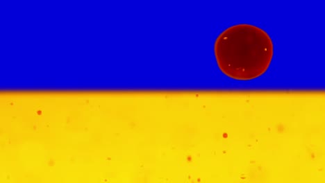 Rote-Blasen-Schweben-Auf-Blauem-Und-Gelbem-Hintergrund-Herab,-Video-Mit-Ukrainischer-Flagge-Im-Hintergrund