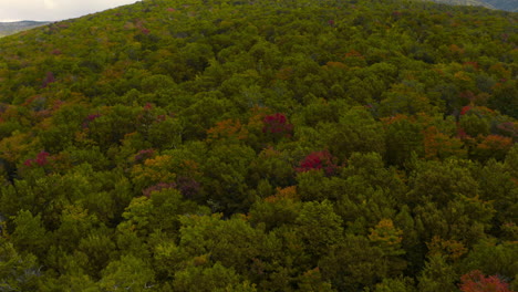 Wunderschöne,-Geheimnisvolle,-Gruselige,-Herbstlich-Gefärbte-Herbstblätter-Und-Bäume-In-Ländlicher-Umgebung,-Luftdrohne-4k-30fps