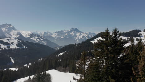 Luftaufnahme-Vorbei-An-Kiefern-Und-Blick-Auf-Entfernte-Skilifte-In-Einer-Schneebedeckten-Berglandschaft
