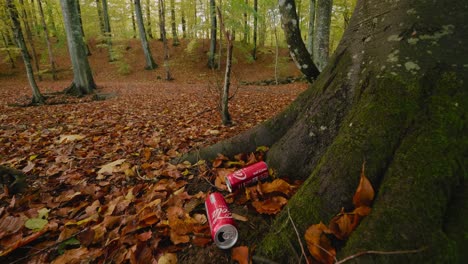 Soda-Cans-Laying-Around-in-Nature,-Gyllebo-Forest-in-Autumn,-Skåne-Sweden---Static-Wide-Shot