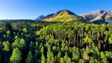 Aerial-view-of-the-Utah-mountains-during-early-autumn-with-the-aspens-turning-yellow
