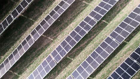 Flying-diagonally-over-horizontal-rows-of-photovoltaic-solar-panels,-aerial-top-down