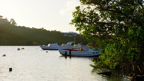 Fishing-boats-anchored-in-a-small,-sheltered-bay-at-sunset-on-the-Caribbean-island-of-Curacao